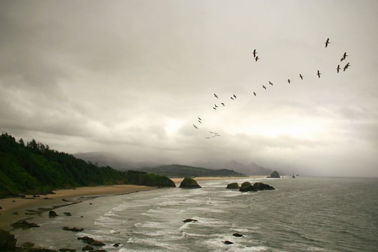 ecola park